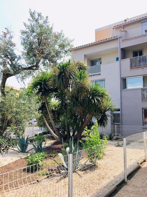 Appartement T2 Au Port De Canet-En-Roussillon - Proche De La Plage Et De L'Aquarium Oniria Exteriör bild