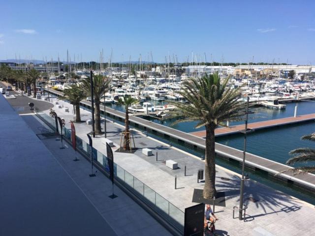 Appartement T2 Au Port De Canet-En-Roussillon - Proche De La Plage Et De L'Aquarium Oniria Exteriör bild