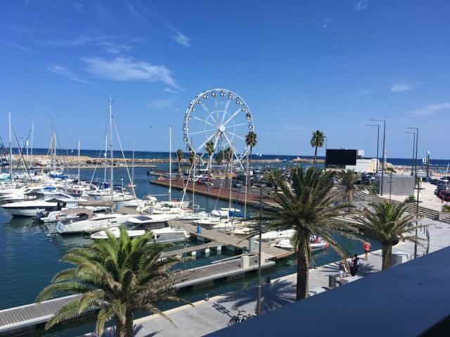 Appartement T2 Au Port De Canet-En-Roussillon - Proche De La Plage Et De L'Aquarium Oniria Exteriör bild