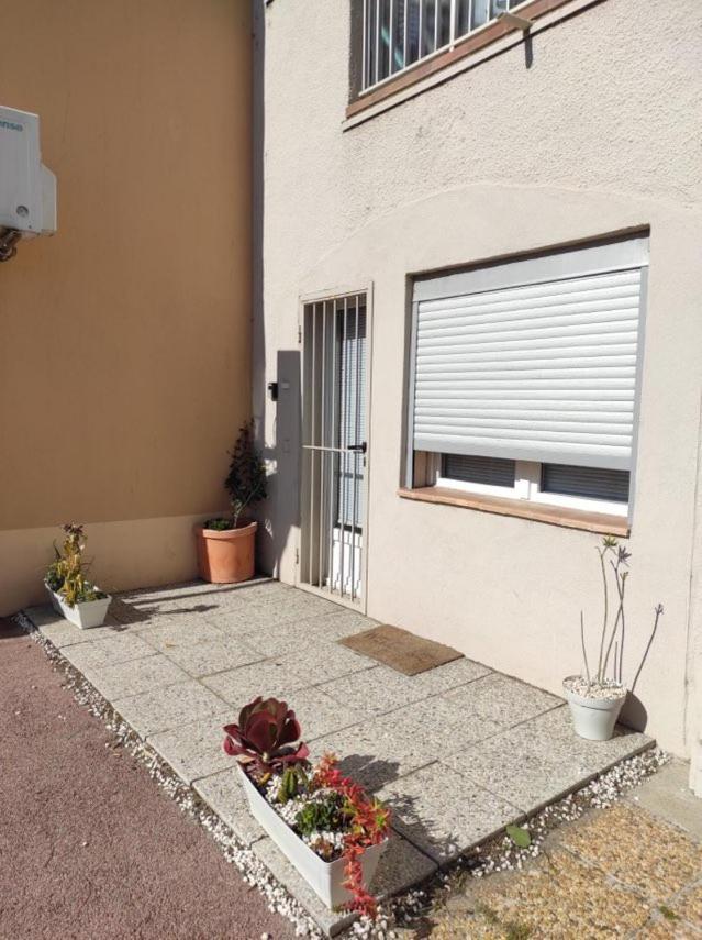 Appartement T2 Au Port De Canet-En-Roussillon - Proche De La Plage Et De L'Aquarium Oniria Exteriör bild